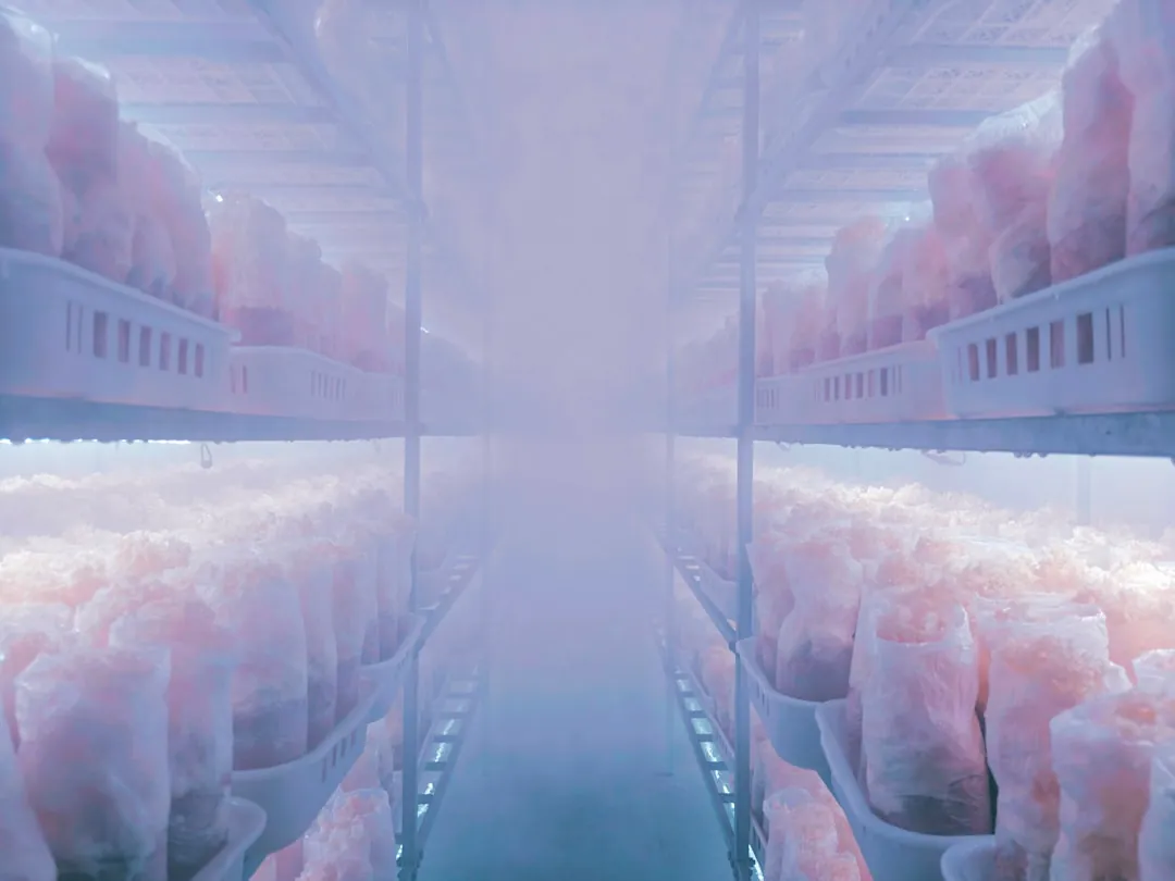 长三角速食供应链升级：螺蛳粉与酸辣粉的流通环节品控方案正文配图 2